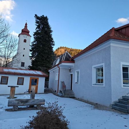 Haus Steiner Διαμέρισμα Teufenbach  Εξωτερικό φωτογραφία